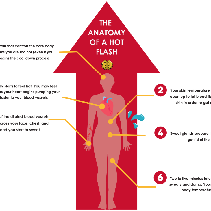 Anatomy of a hot flash teaser