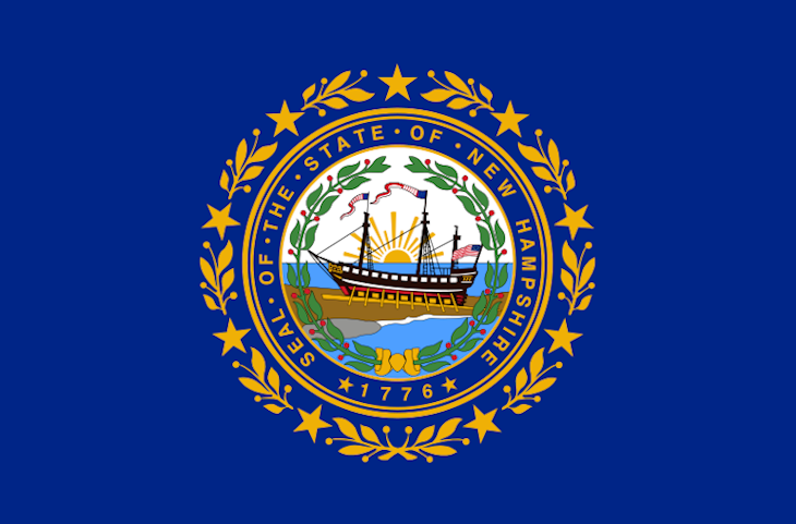 New Hampshire flag