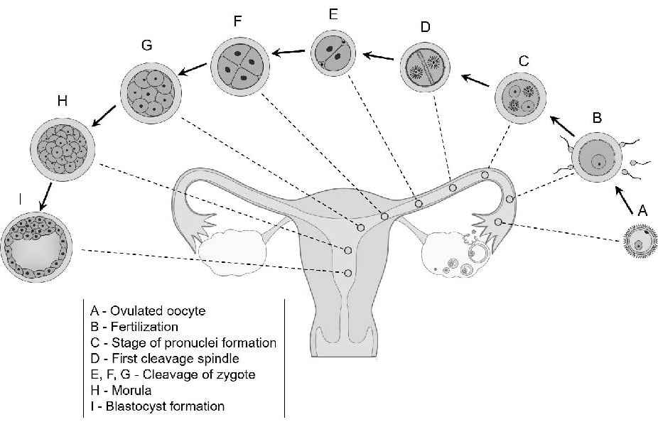 ARTAppendix1.jpg