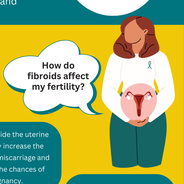 What are fibroids teaser