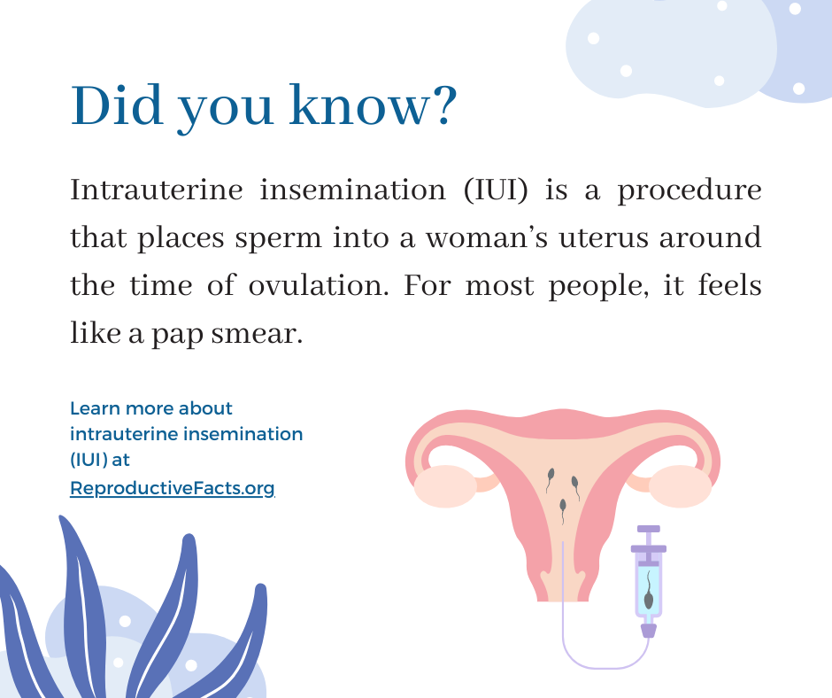 Intrauterine insemination IUI 1.png