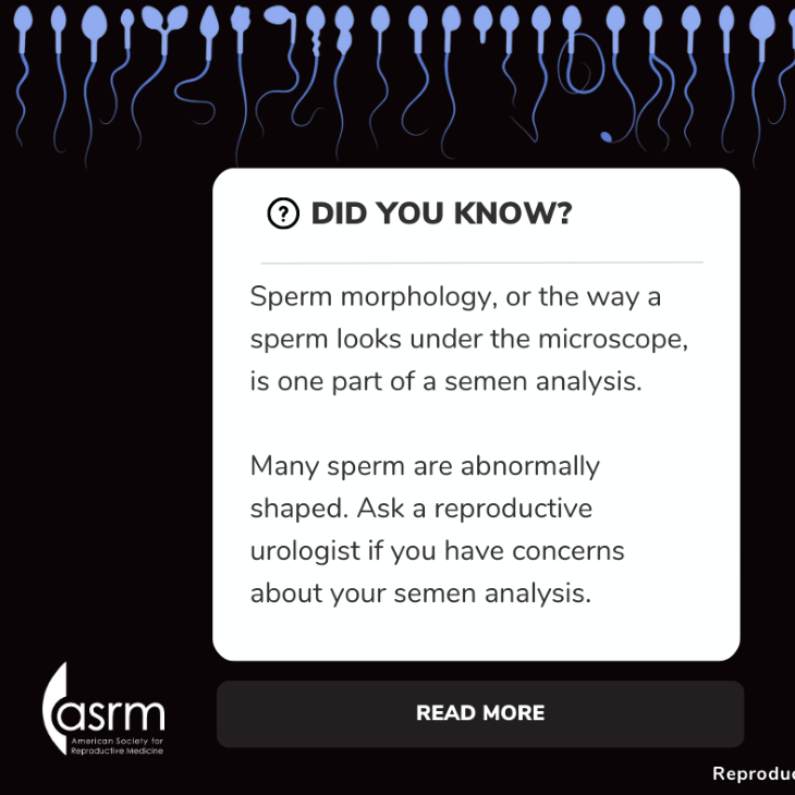 Sperm Shape teaser