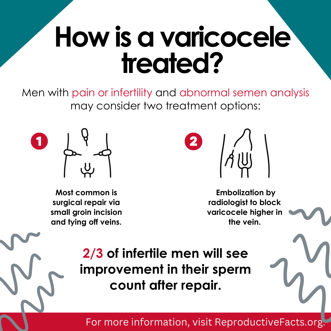 Varicocele 5.png