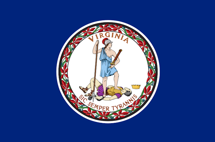 Virginia flag